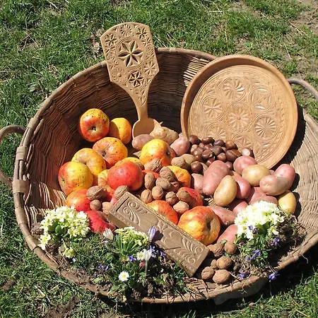 팜스테이 Meiro Di Choco *