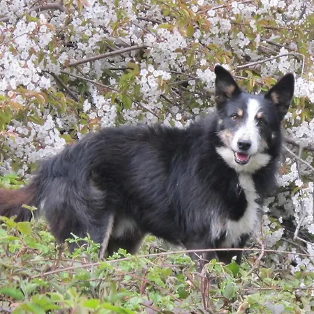 팜스테이 Meiro Di Choco *