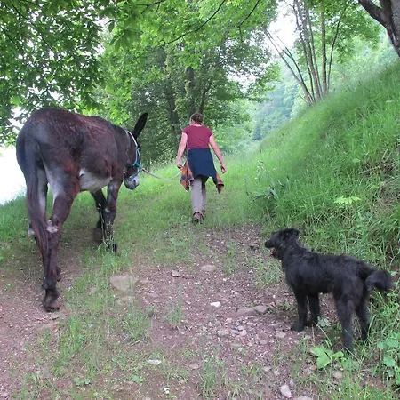 Meiro Di Choco Pradleves