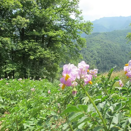 Farm stay Meiro Di Choco