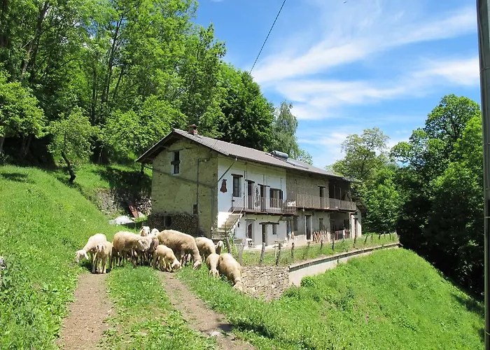 Meiro Di Choco Bauernhof Pradleves